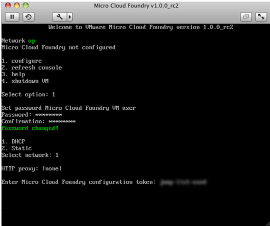 micro vm dns config